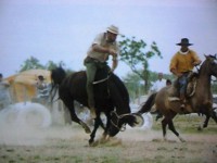 /album/galeria-de-fotos/pedro-henrique-084-jpg/
